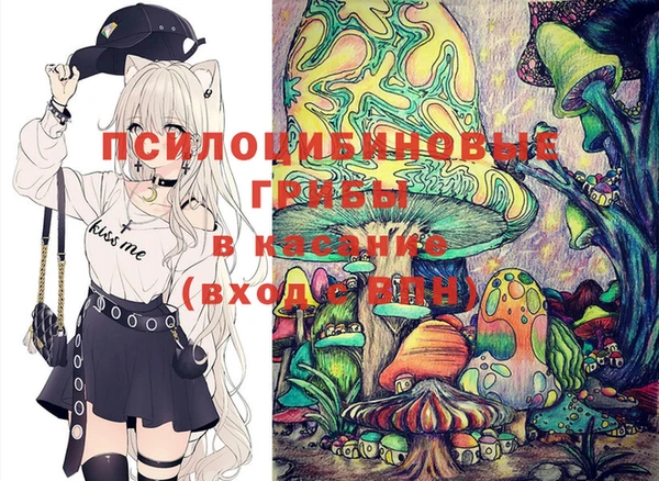 спайс Абинск