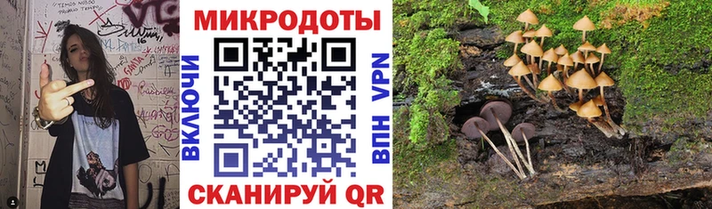 Галлюциногенные грибы Psilocybe  Ковдор 